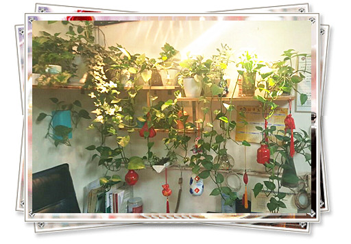 1490078189479503.jpg 1_副本.jpg