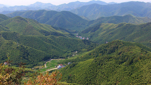 1495155483537698.jpg 11_副本.jpg