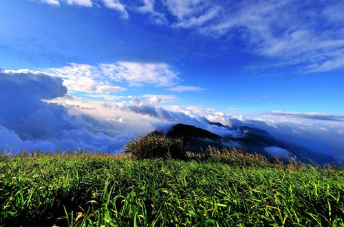 1495160909387001.jpg 44_副本.jpg