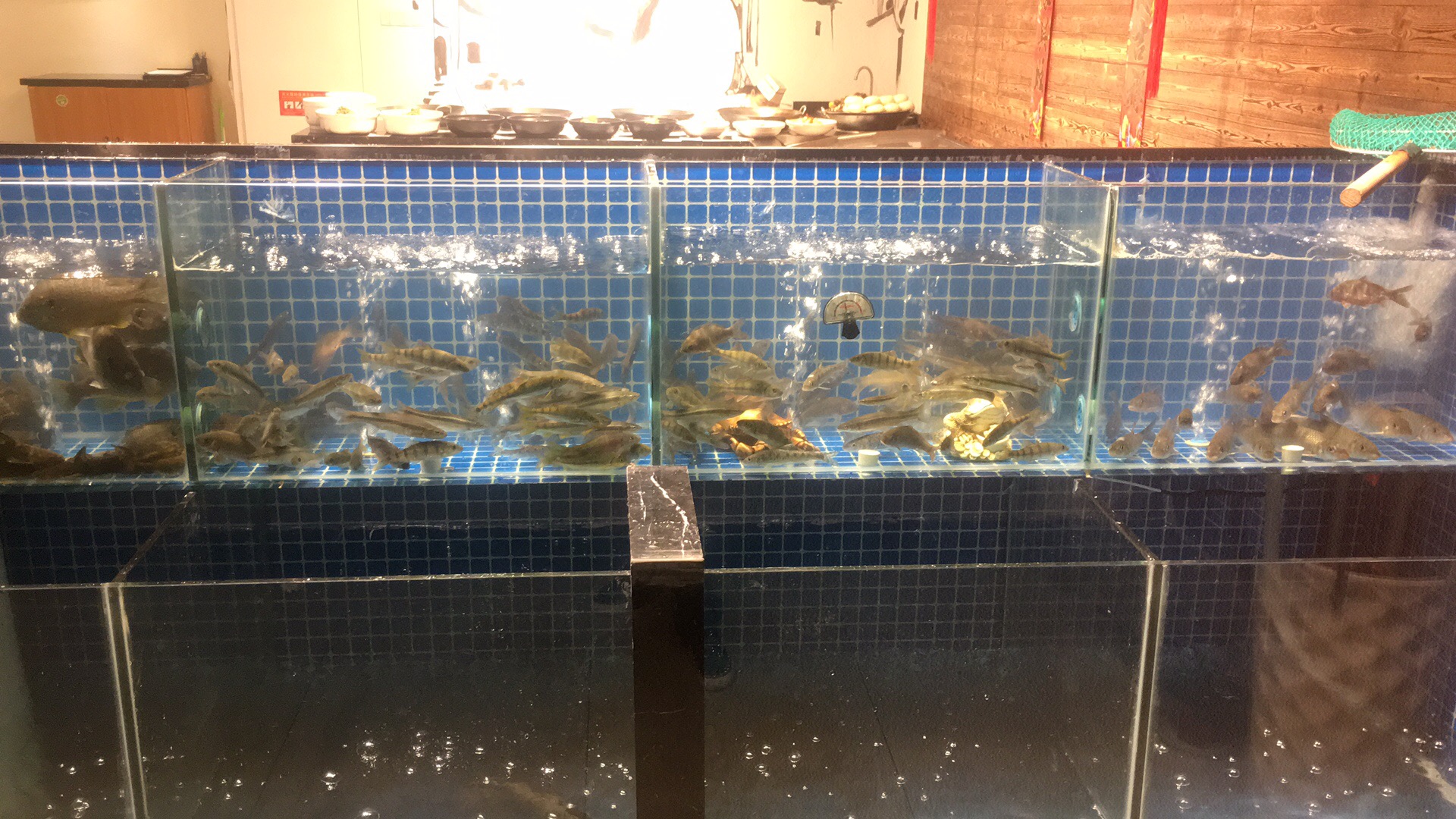 1551680212770937.jpg 1551680212770937.jpg